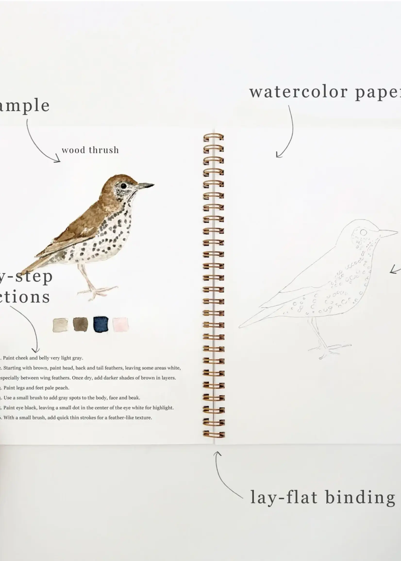 emily lex studio Emily Lex Birds Watercolor Workbook