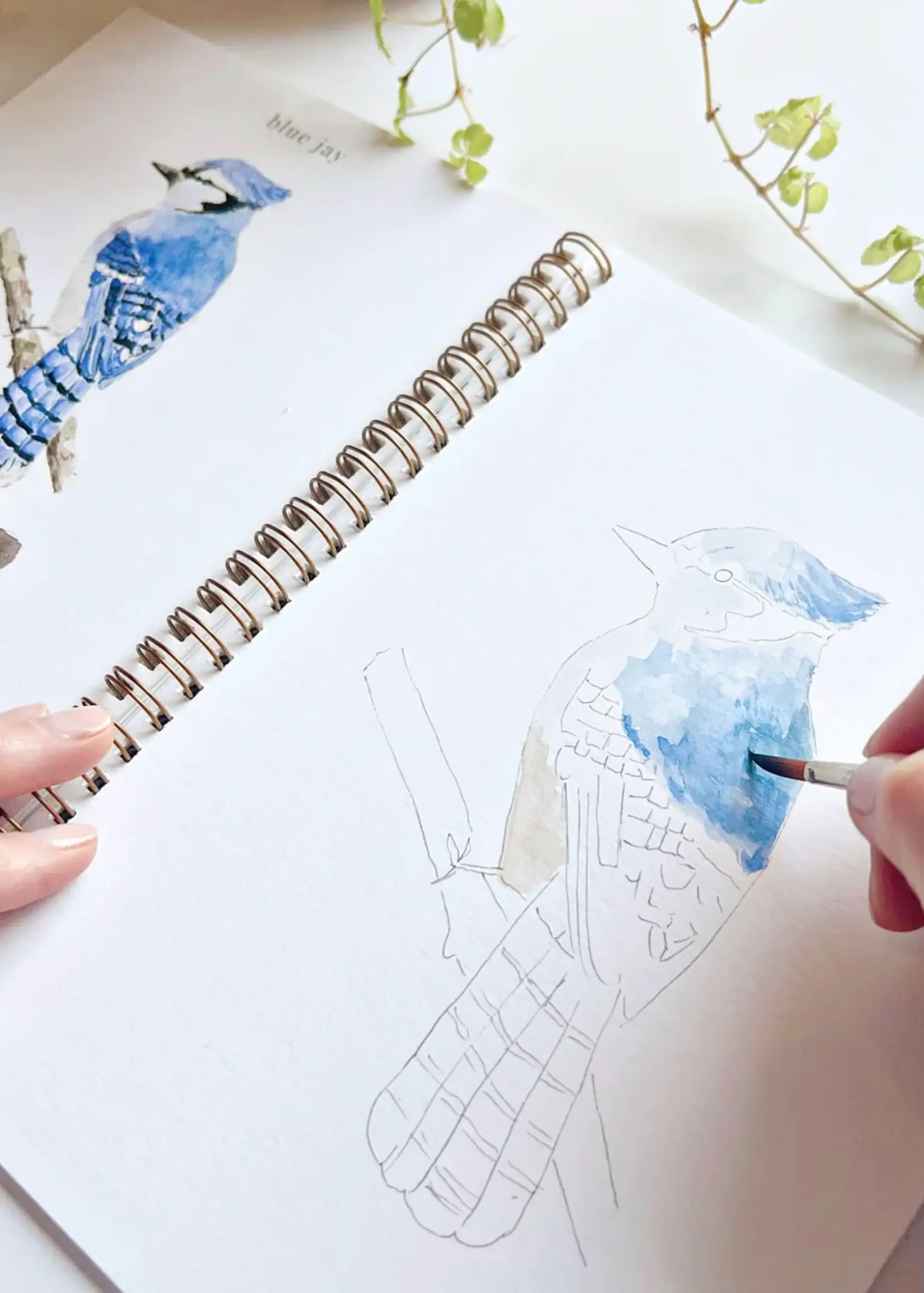 emily lex studio Emily Lex Birds Watercolor Workbook