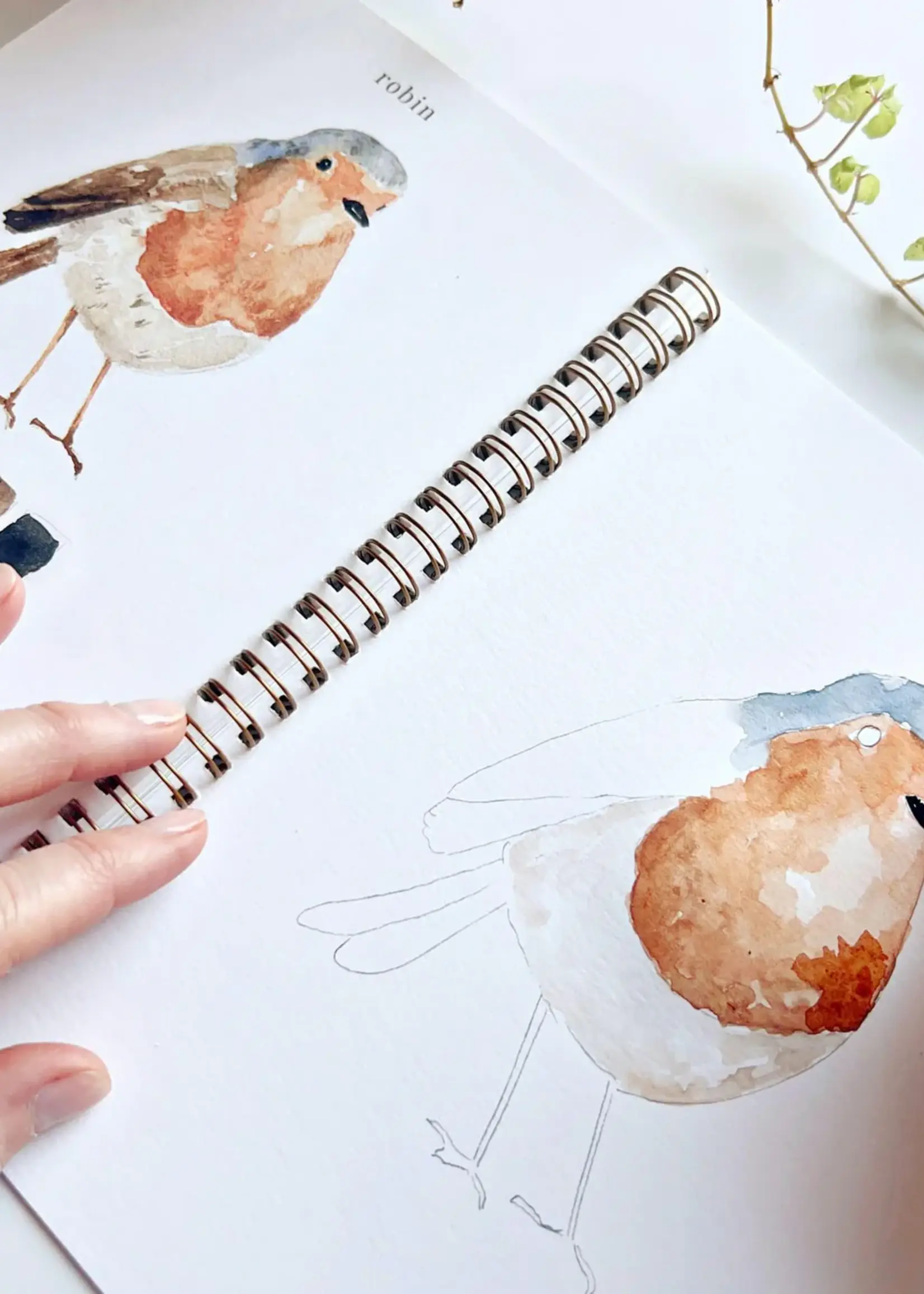 emily lex studio Emily Lex Birds Watercolor Workbook