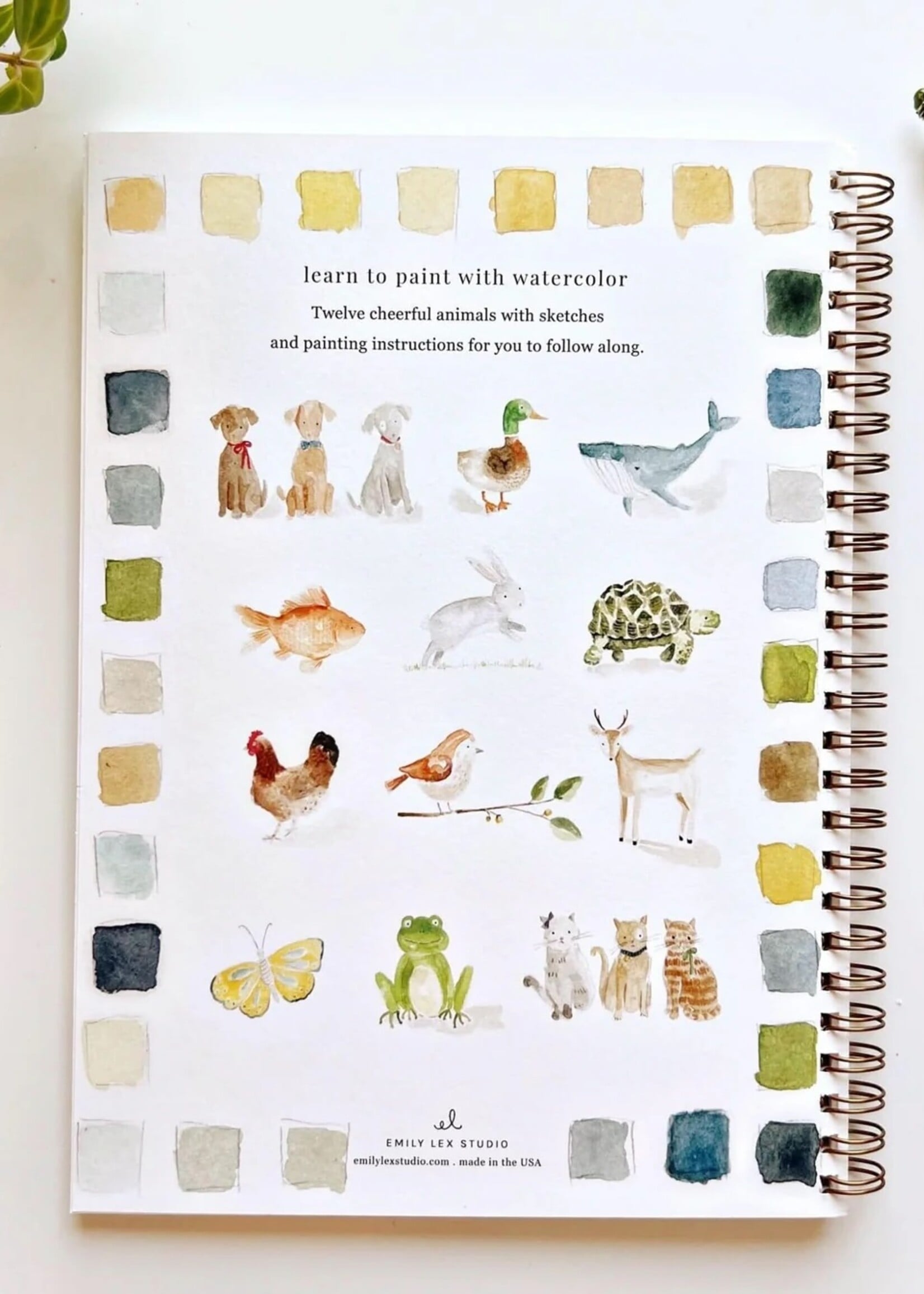 emily lex studio Emily Lex Animals Watercolor Workbook