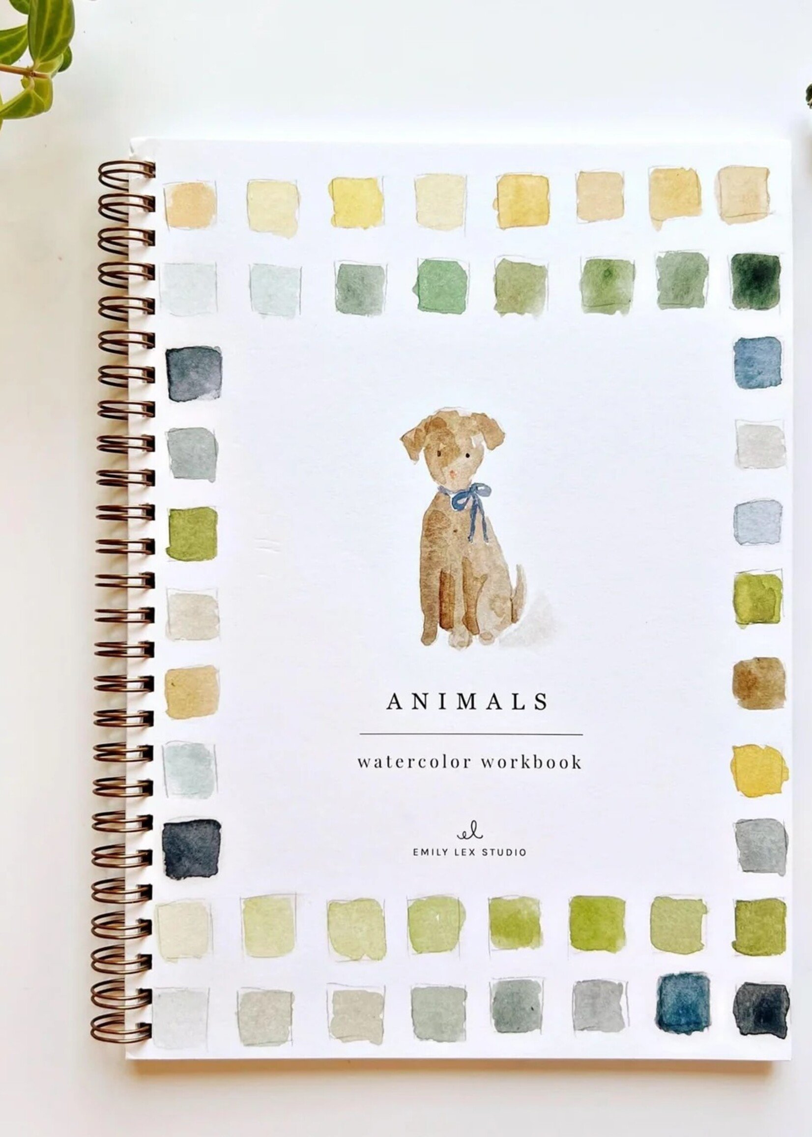 emily lex studio Emily Lex Animals Watercolor Workbook