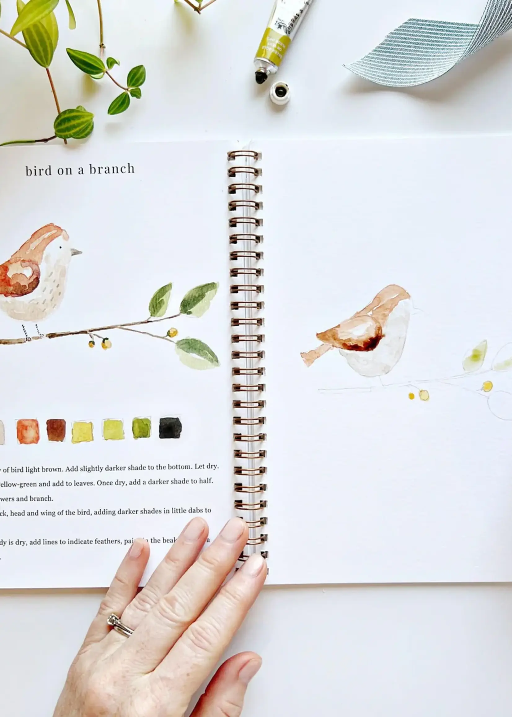 emily lex studio Emily Lex Animals Watercolor Workbook