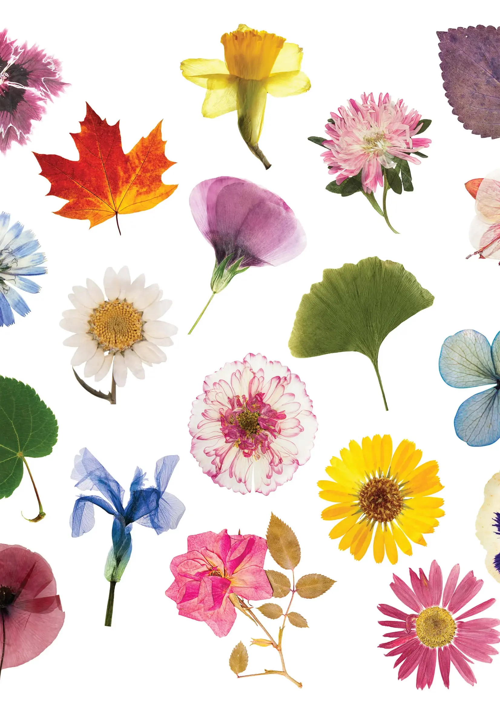 Elseware Unplug Flower Press
