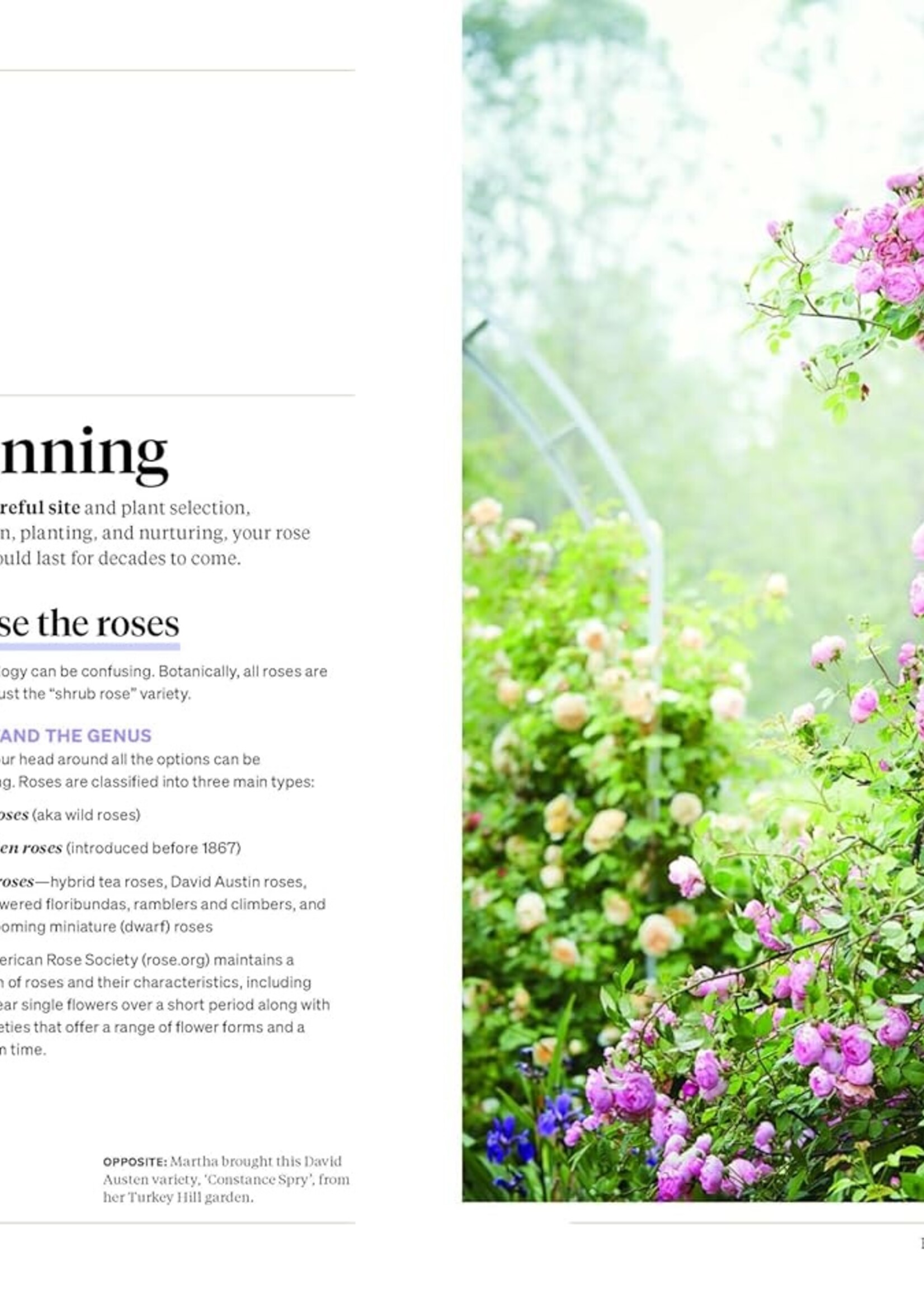 Martha Stewart Gardening Book