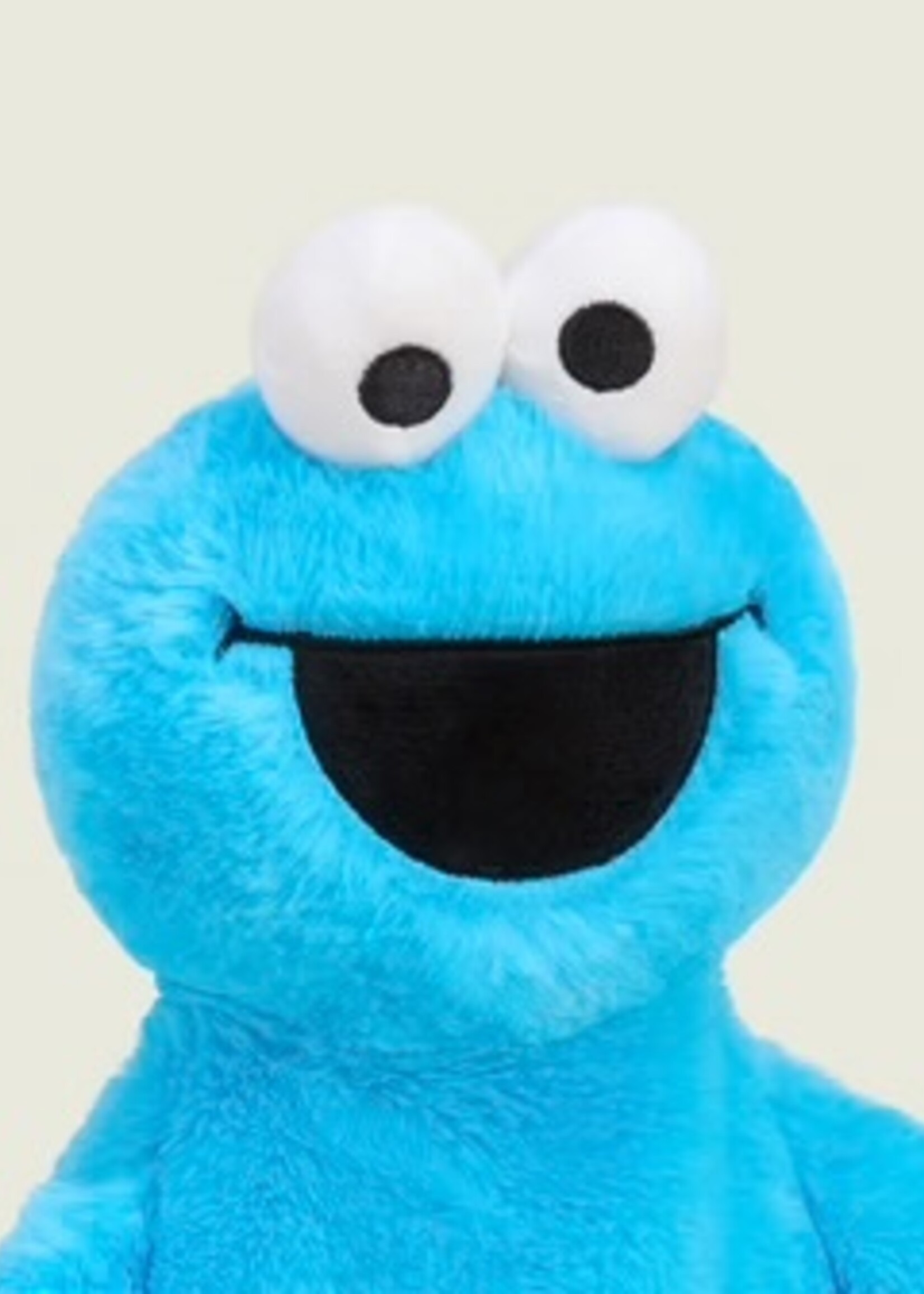 Warmies Cookie Monster Warmies