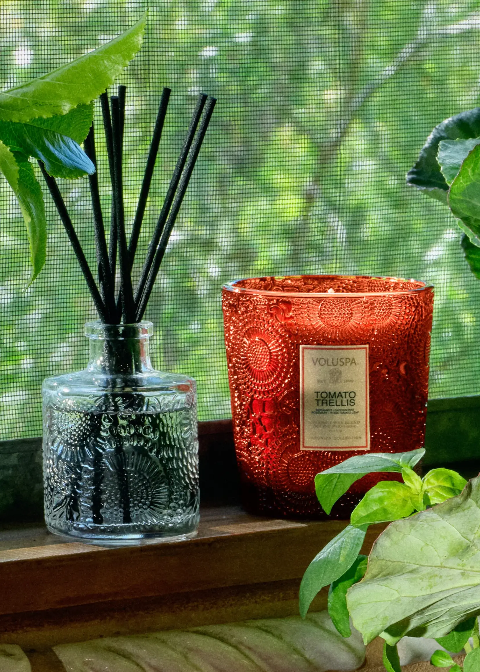 voluspa Voluspa Tomato Trellis Reed Diffuser