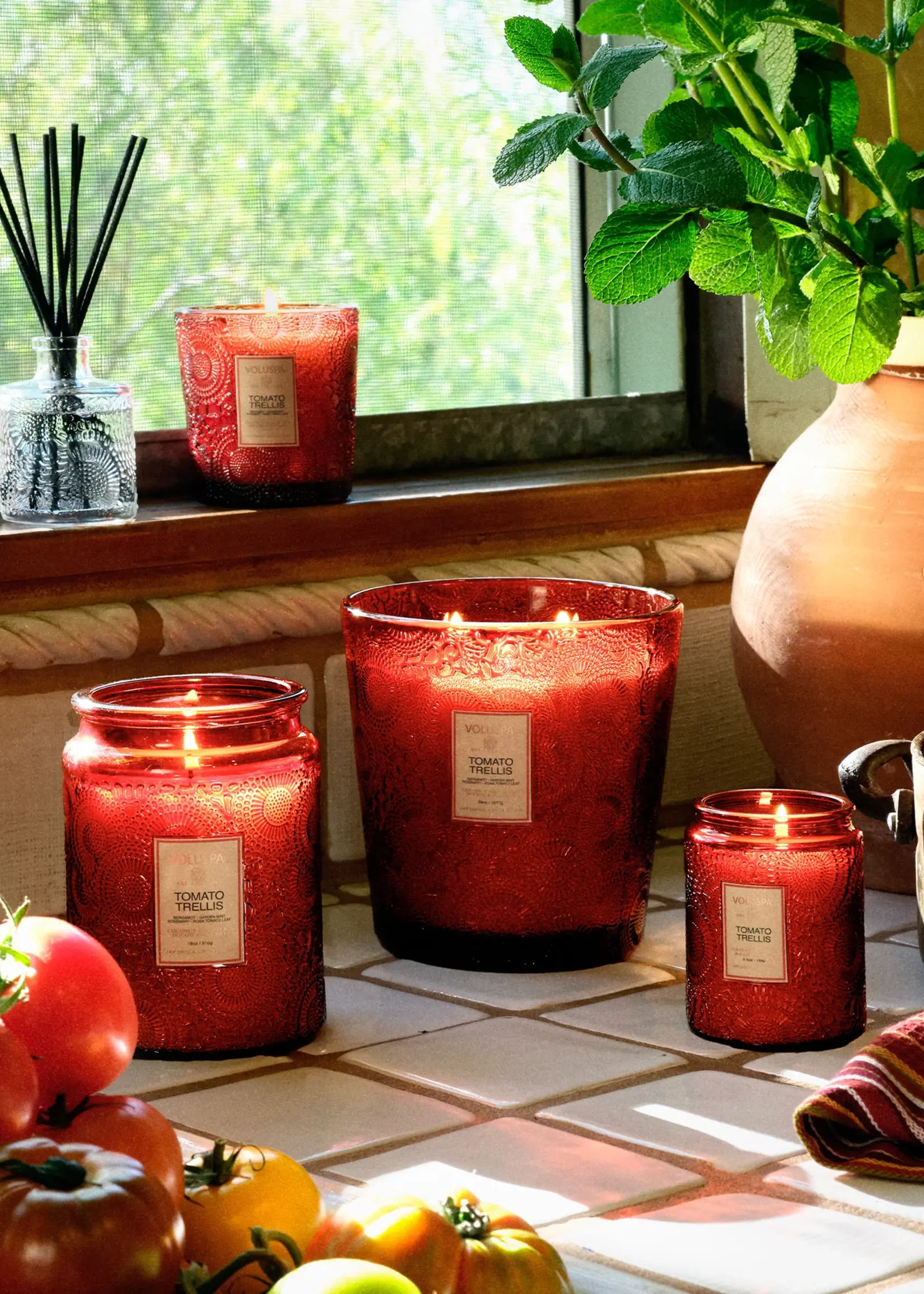 voluspa Voluspa Tomato Trellis Reed Diffuser