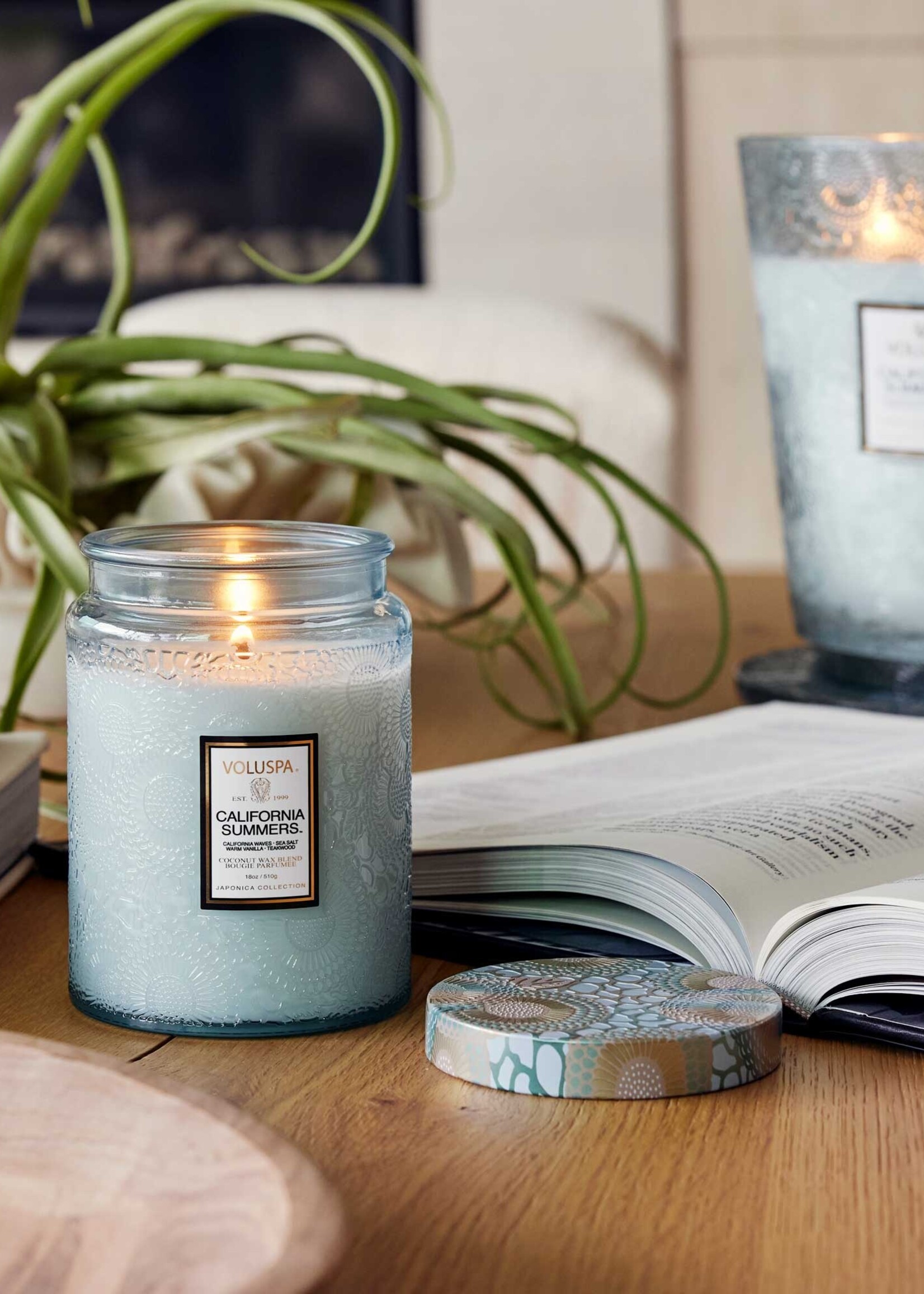 voluspa Voluspa California Summers 18 oz Large Jar Candle