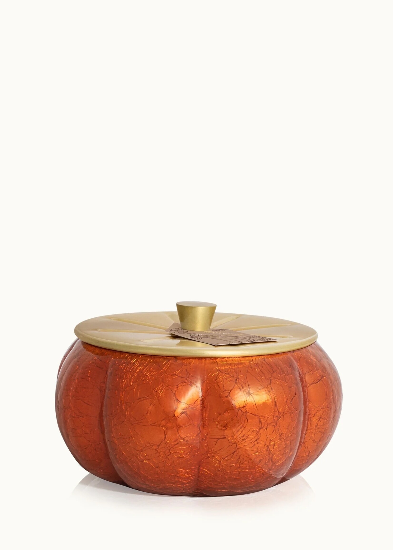 Thymes Pumpkin Laurel 15 oz. Large Candle