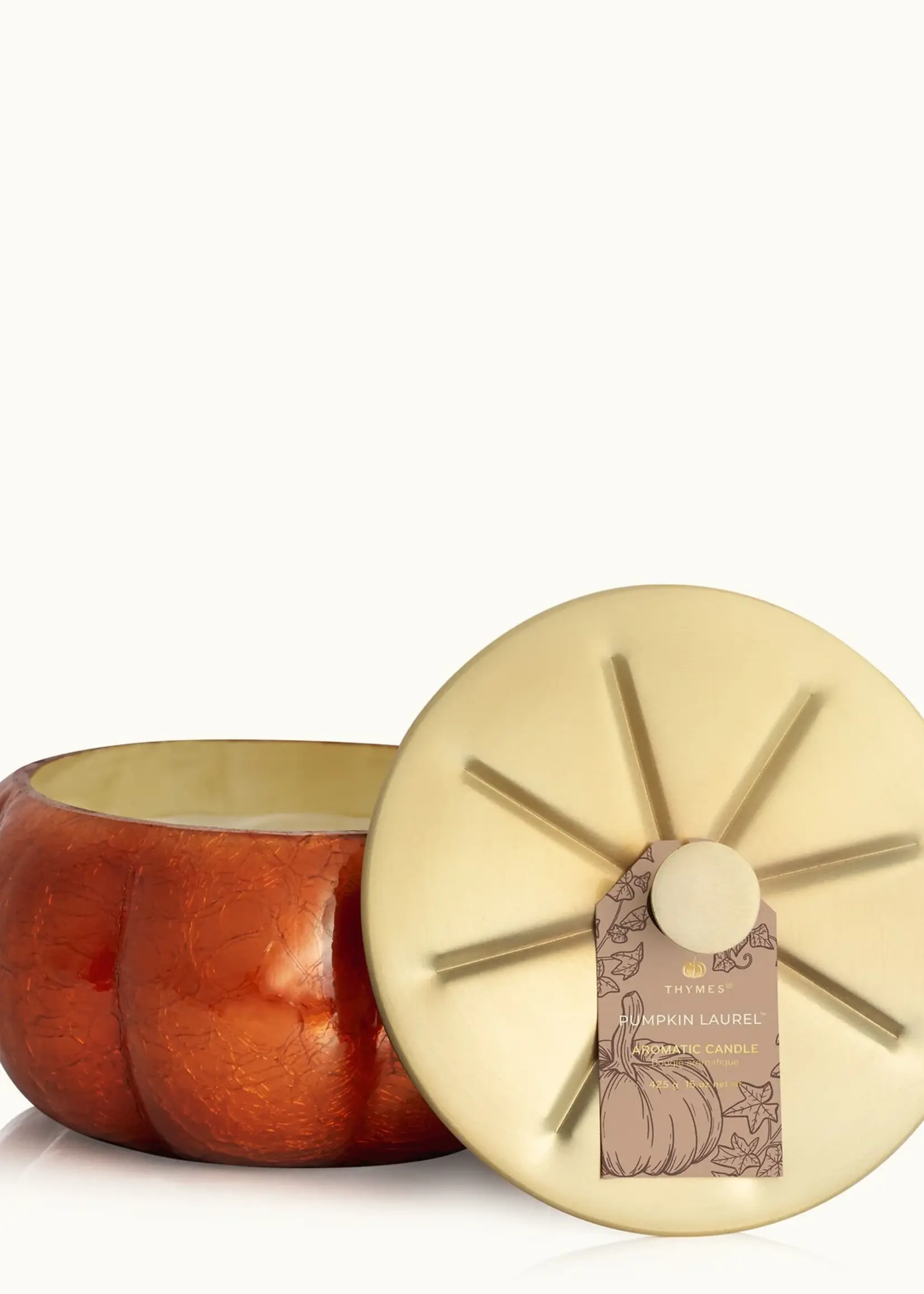 Thymes Pumpkin Laurel 15 oz. Large Candle