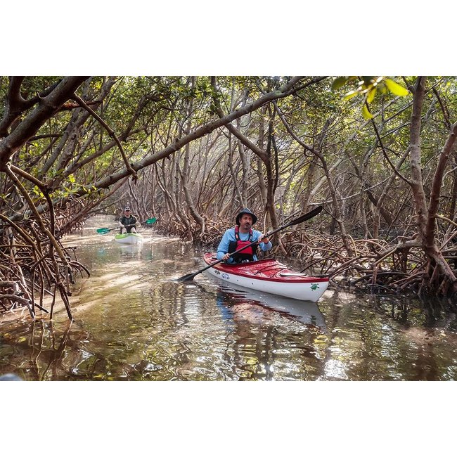 Eddyline Kayaks Sandpiper 130 Single Recreational Kayak