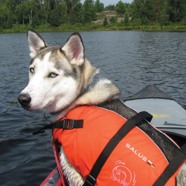 Salus Skippy Dog PFD