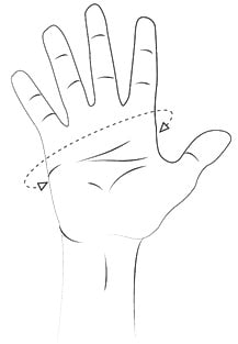 Hand Circumference Measurement