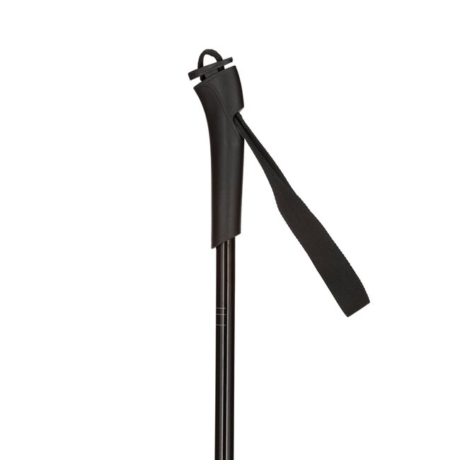Rossignol FT-501 Aluminum Junior Poles