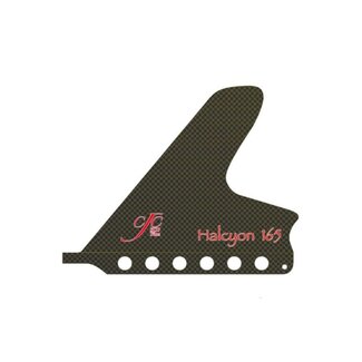 Halcyon 165 Fin