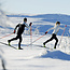 Fischer Twin Skin Carbon Pro Classic IFP Cross Country Ski 24/25
