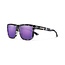 Quiver Polarized Sunglasses