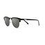 Step Out Polarized Sunglasses