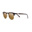 Step Out Polarized Sunglasses