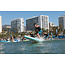 NSP Puma 14' Pro Carbon 2026 - Performance Stand Up Paddle Board