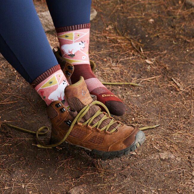 Darn Tough Women's Critter Club Micro Lightweight Socks with Cushion