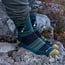 Darn Tough Men's Willoughby Micro Crew Lightweight Socks with Cushion