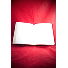 Large Herbal Pentagram Journal in Brown
