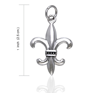 Fleur De Lis Charm