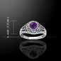 Astrology Wheel Ring with Amethyst (Size 7)