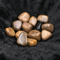 Stone Spinner Petrified Wood