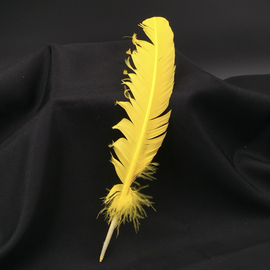 Yellow Feather Quill Pen