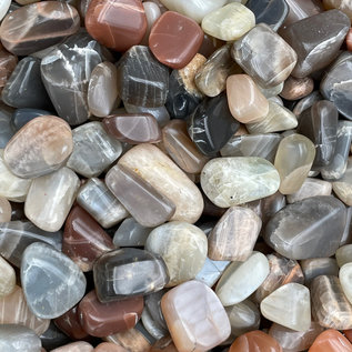 Stone Spinner Moonstone