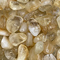 Stone Spinner Citrine Tumbled