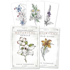 Llewellyn Worldwide Hedgewitch Botanical Oracle by Siolo Thompson