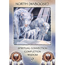U.S. Games Systems Spirit of the Wheel Meditation Deck with Poster and Booklet