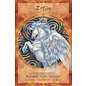 U.S. Games Systems Magical Times Empowerment Cards - by Jody Bergsma