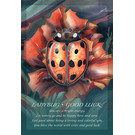 U.S. Games Systems Spirit of the Animals Oracle