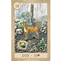 U.S. Games Systems Fairy Tale Lenormand - by Arwen Lynch