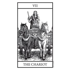 U.S. Games Systems Bianco Nero Tarot Deck