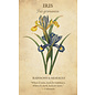 U.S. Games Systems Botanical Inspirations Deck & Book Set - by Lynn Araujo