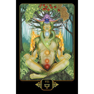 Blue Angel Dreams of Gaia Tarot - by Ravynne Phelan