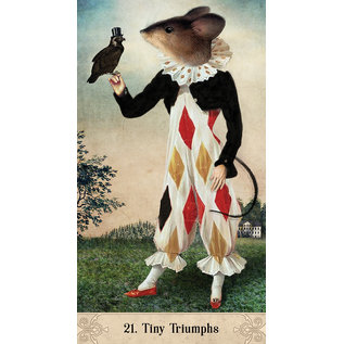 U.S. Games Systems Oracle of Mystical Moments - by Catrin Well-Stein