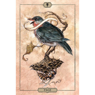 U.S. Games Systems Hush Tarot - by Jeremy Hush