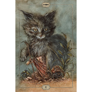 U.S. Games Systems Hush Tarot - by Jeremy Hush