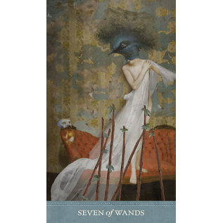 U.S. Games Systems Dreamkeepers Tarot - by Liz Huston