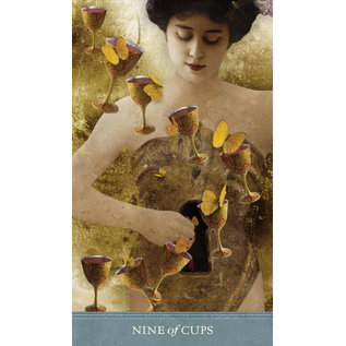 U.S. Games Systems Dreamkeepers Tarot - by Liz Huston