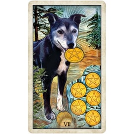 U.S. Games Systems Wise Dog Tarot