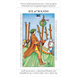 U.S. Games Systems Apprentice Tarot Deck - by Jody Boginski Barbessi