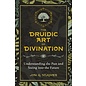 Destiny Books The Druidic Art of Divination: Understanding the Past and Seeing Into the Future - by Jon G. Hughes