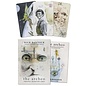 Llewellyn Publications The Archeo: Personal Archetype Cards - by Nick Bantock